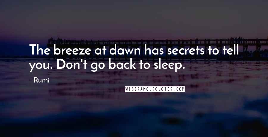 Rumi Quotes: The breeze at dawn has secrets to tell you. Don't go back to sleep.