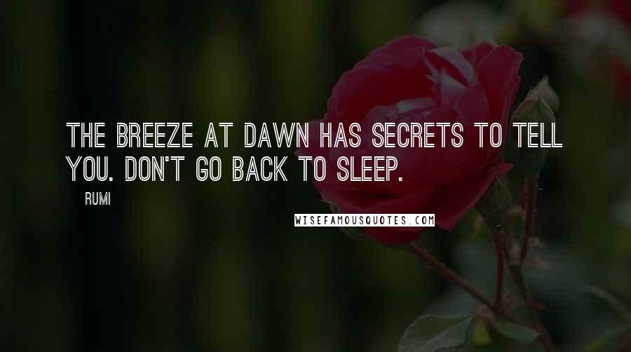 Rumi Quotes: The breeze at dawn has secrets to tell you. Don't go back to sleep.