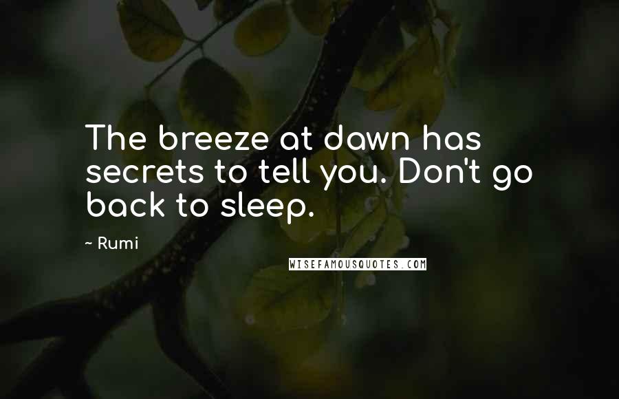 Rumi Quotes: The breeze at dawn has secrets to tell you. Don't go back to sleep.