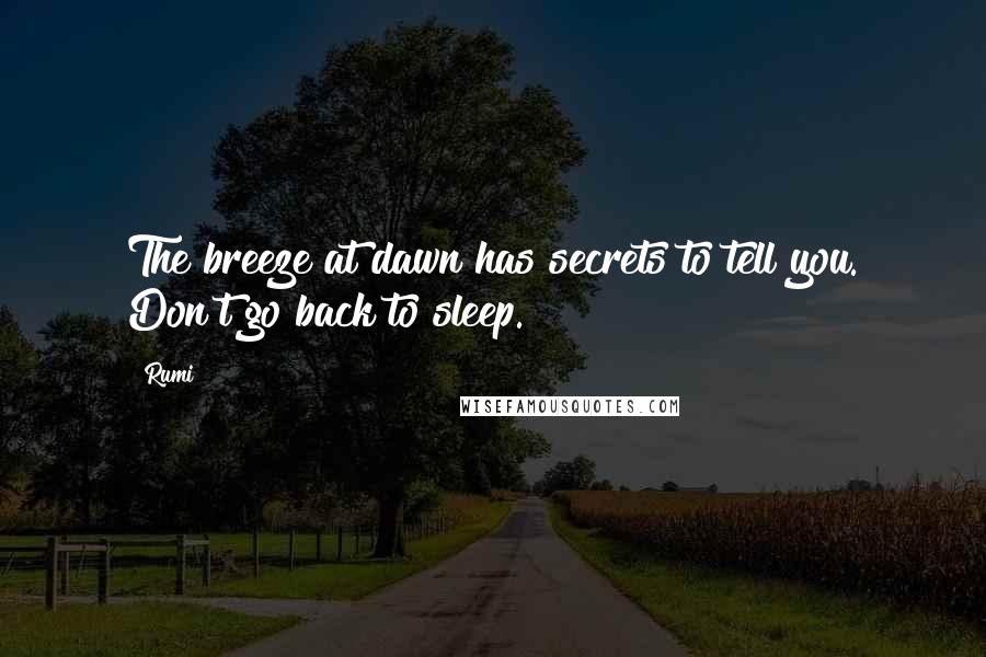 Rumi Quotes: The breeze at dawn has secrets to tell you. Don't go back to sleep.