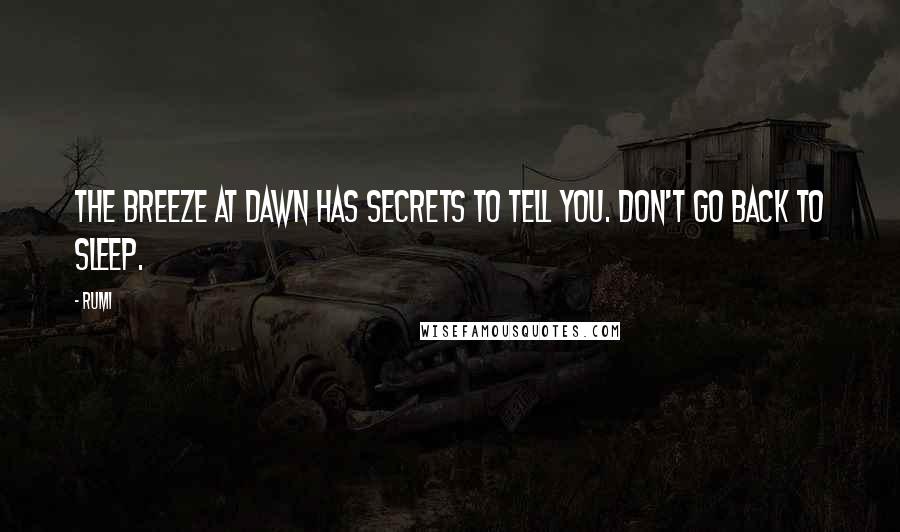 Rumi Quotes: The breeze at dawn has secrets to tell you. Don't go back to sleep.