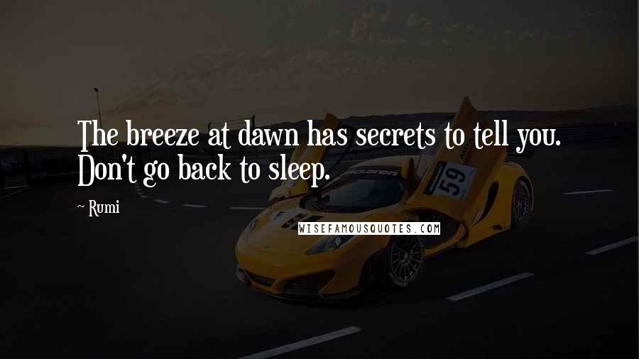 Rumi Quotes: The breeze at dawn has secrets to tell you. Don't go back to sleep.