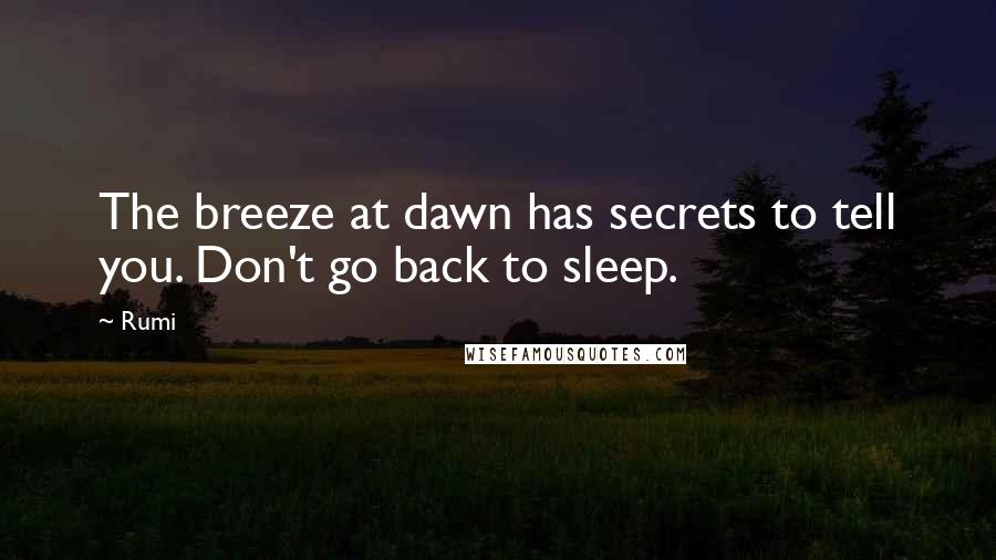 Rumi Quotes: The breeze at dawn has secrets to tell you. Don't go back to sleep.