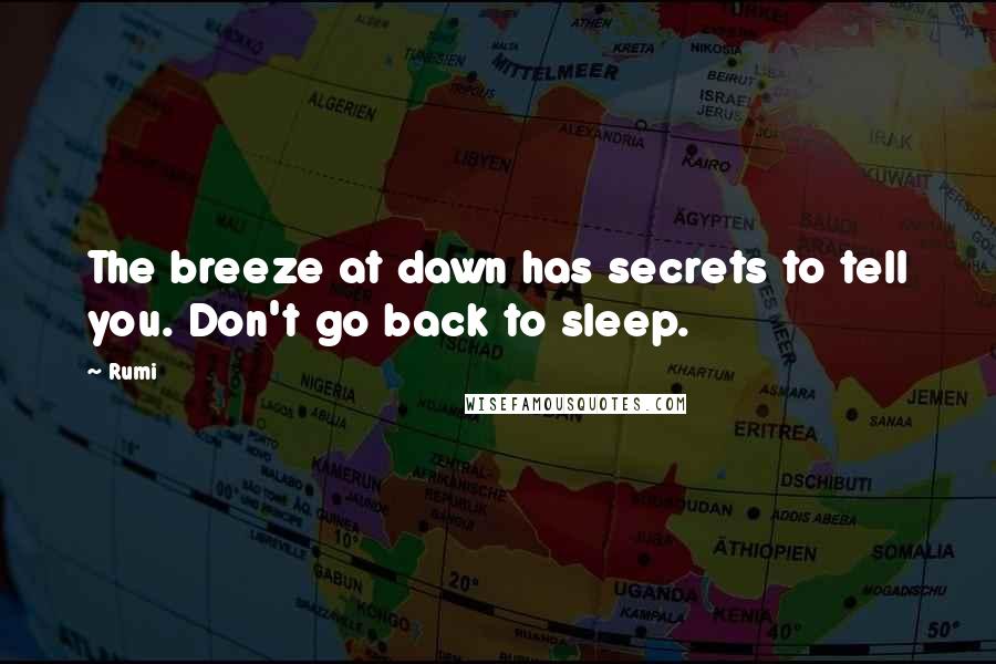 Rumi Quotes: The breeze at dawn has secrets to tell you. Don't go back to sleep.