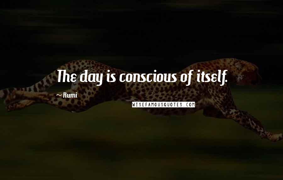Rumi Quotes: The day is conscious of itself.