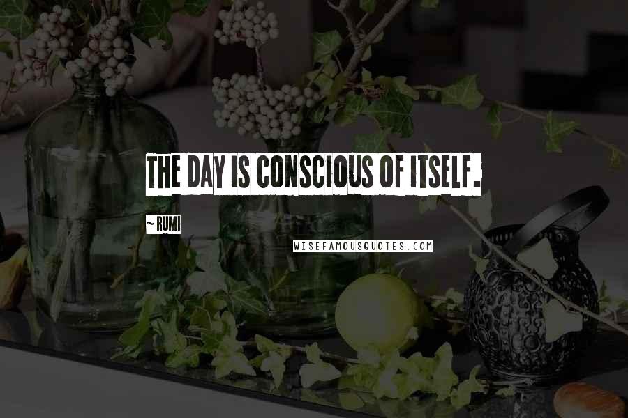 Rumi Quotes: The day is conscious of itself.