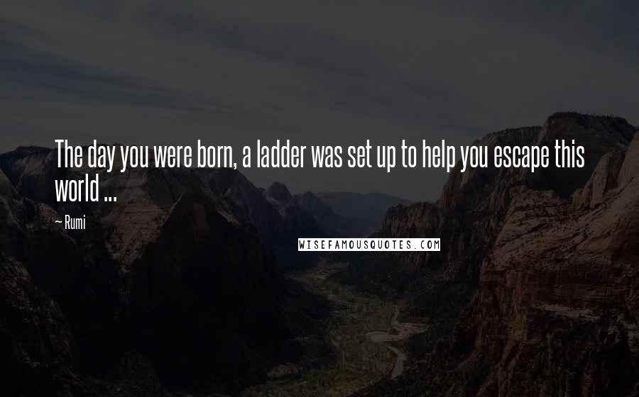 Rumi Quotes: The day you were born, a ladder was set up to help you escape this world ...