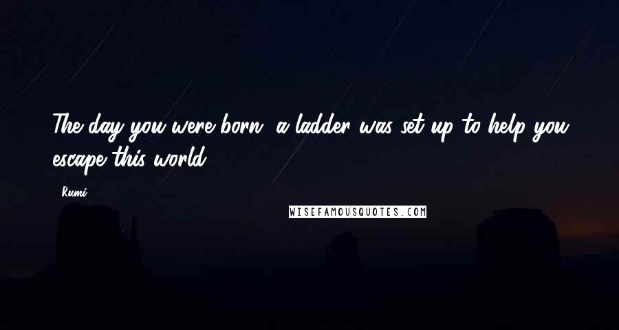 Rumi Quotes: The day you were born, a ladder was set up to help you escape this world ...