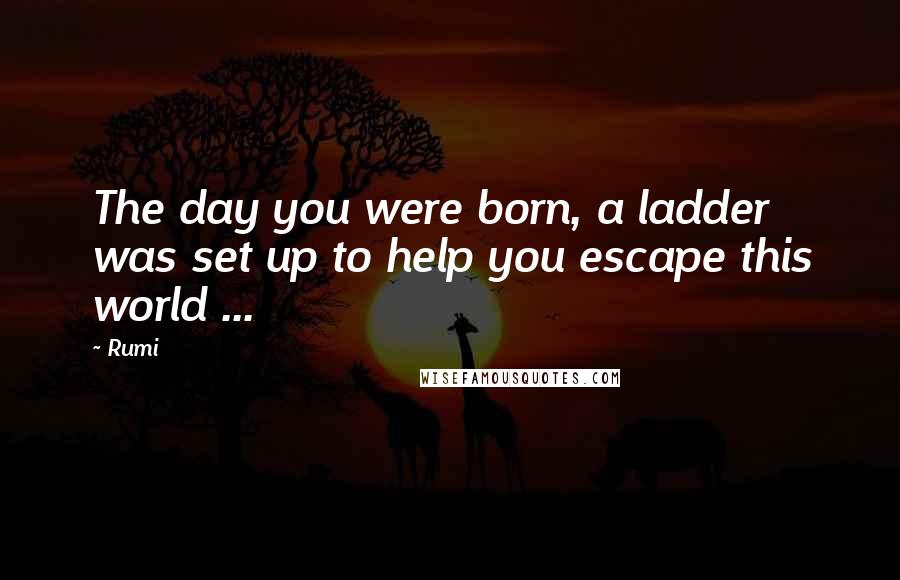 Rumi Quotes: The day you were born, a ladder was set up to help you escape this world ...