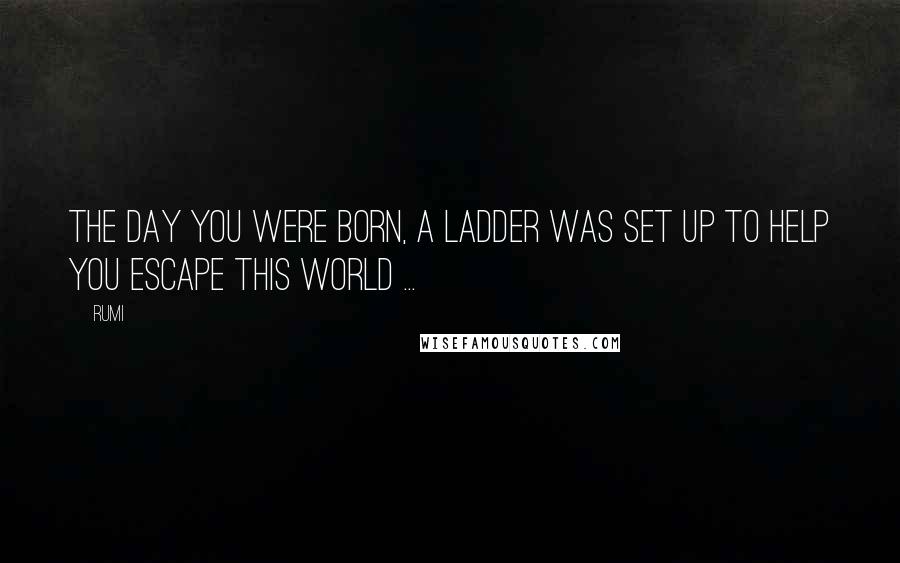 Rumi Quotes: The day you were born, a ladder was set up to help you escape this world ...
