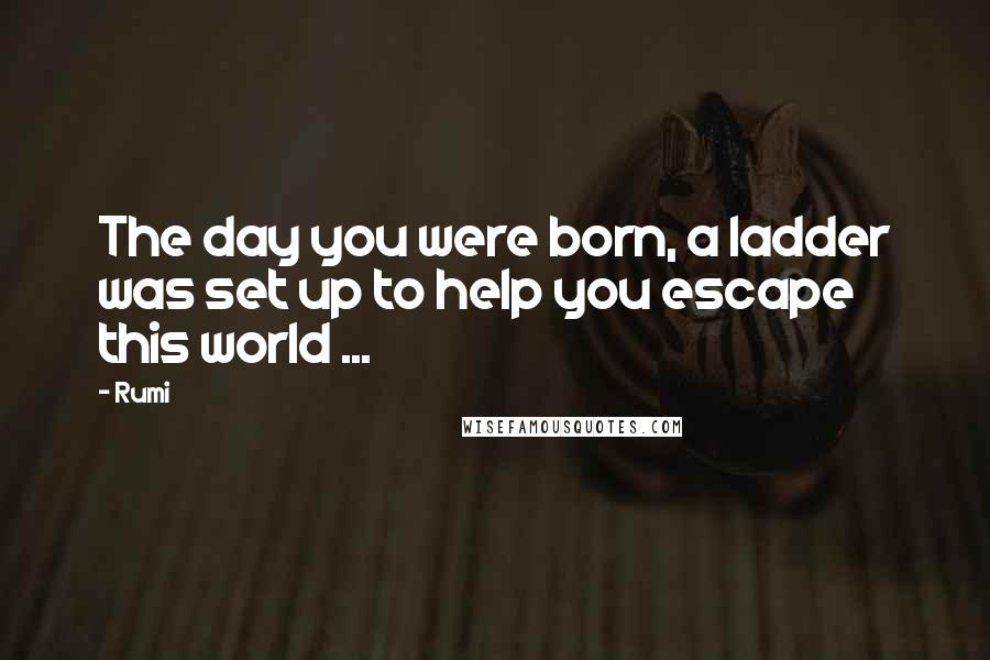 Rumi Quotes: The day you were born, a ladder was set up to help you escape this world ...
