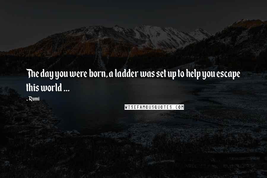 Rumi Quotes: The day you were born, a ladder was set up to help you escape this world ...