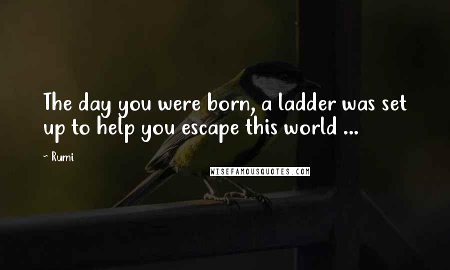 Rumi Quotes: The day you were born, a ladder was set up to help you escape this world ...