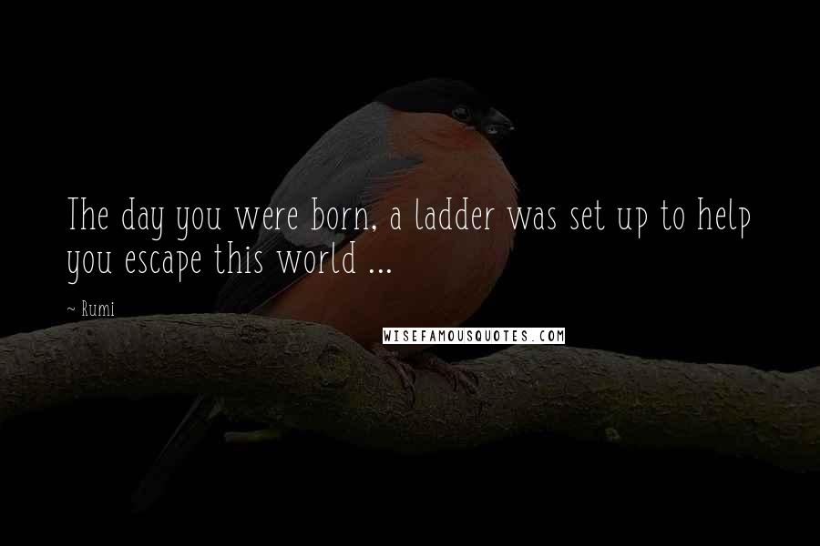 Rumi Quotes: The day you were born, a ladder was set up to help you escape this world ...