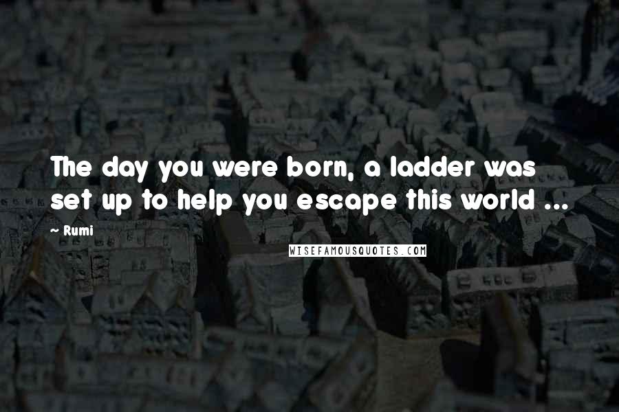 Rumi Quotes: The day you were born, a ladder was set up to help you escape this world ...