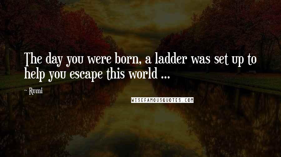 Rumi Quotes: The day you were born, a ladder was set up to help you escape this world ...