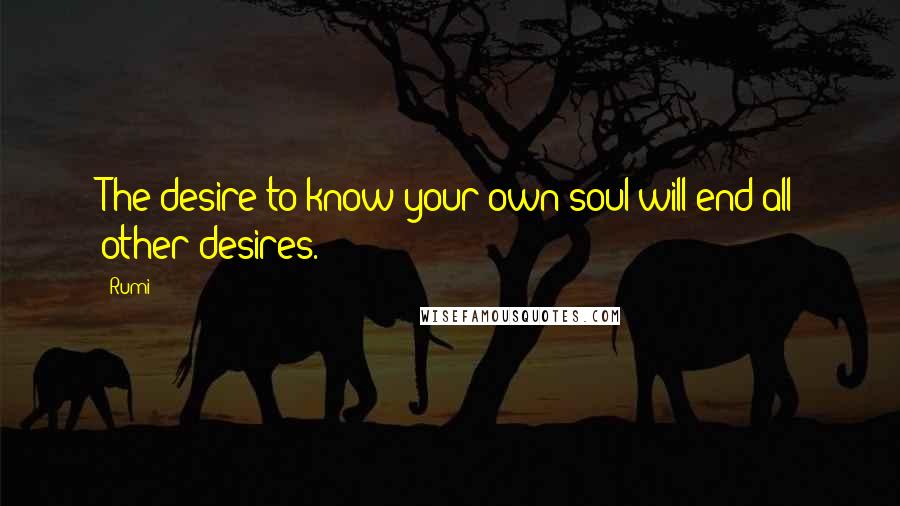 Rumi Quotes: The desire to know your own soul will end all other desires.