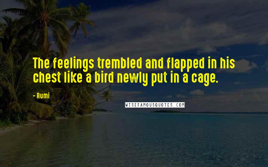 Rumi Quotes: The feelings trembled and flapped in his chest like a bird newly put in a cage.