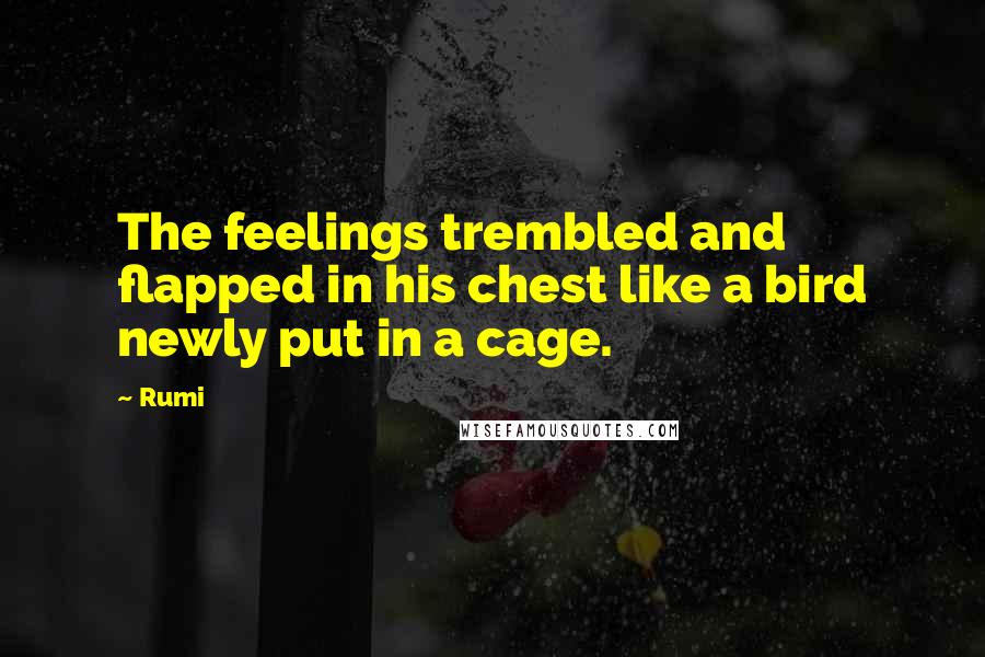 Rumi Quotes: The feelings trembled and flapped in his chest like a bird newly put in a cage.