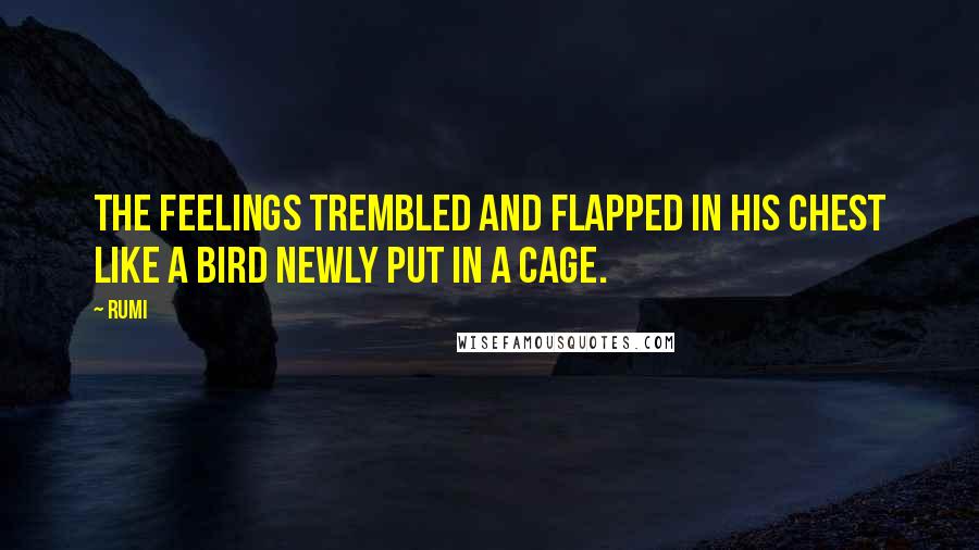 Rumi Quotes: The feelings trembled and flapped in his chest like a bird newly put in a cage.