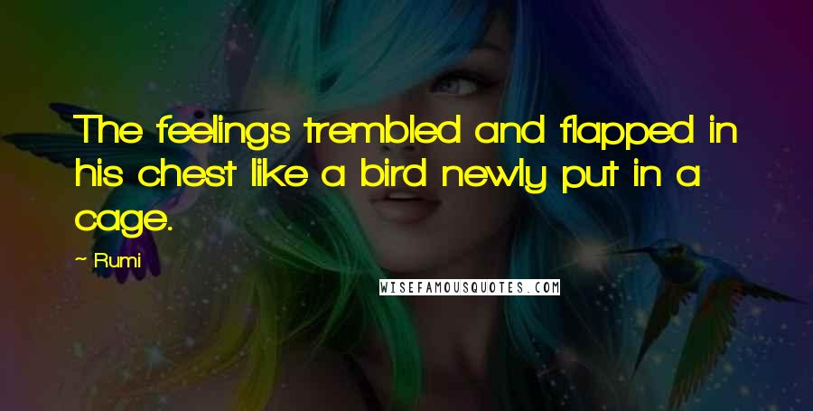 Rumi Quotes: The feelings trembled and flapped in his chest like a bird newly put in a cage.