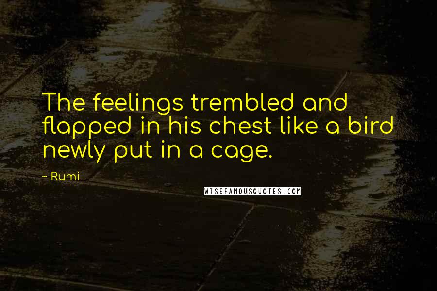 Rumi Quotes: The feelings trembled and flapped in his chest like a bird newly put in a cage.