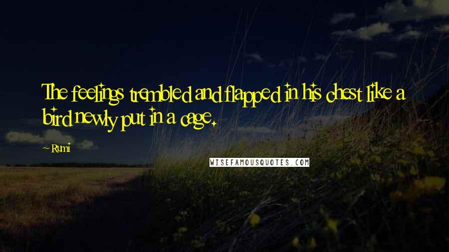 Rumi Quotes: The feelings trembled and flapped in his chest like a bird newly put in a cage.