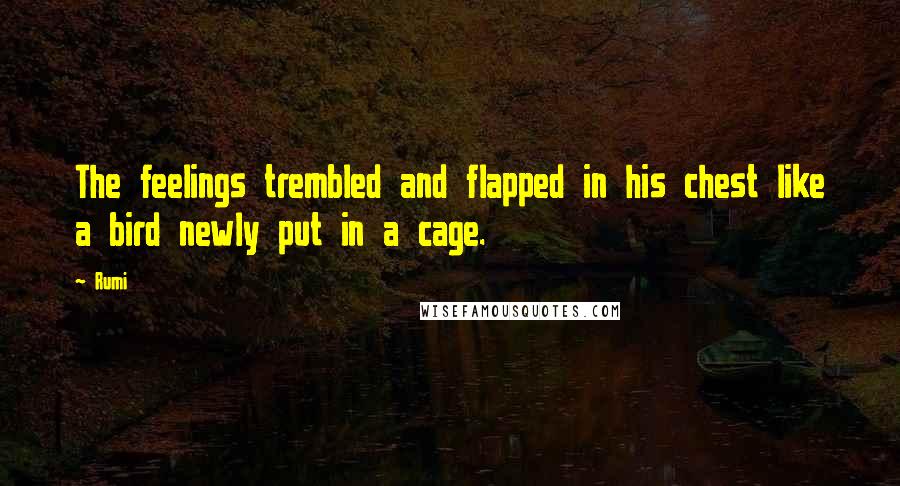 Rumi Quotes: The feelings trembled and flapped in his chest like a bird newly put in a cage.