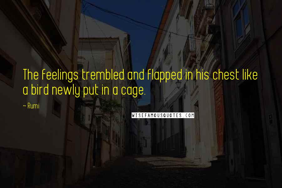 Rumi Quotes: The feelings trembled and flapped in his chest like a bird newly put in a cage.