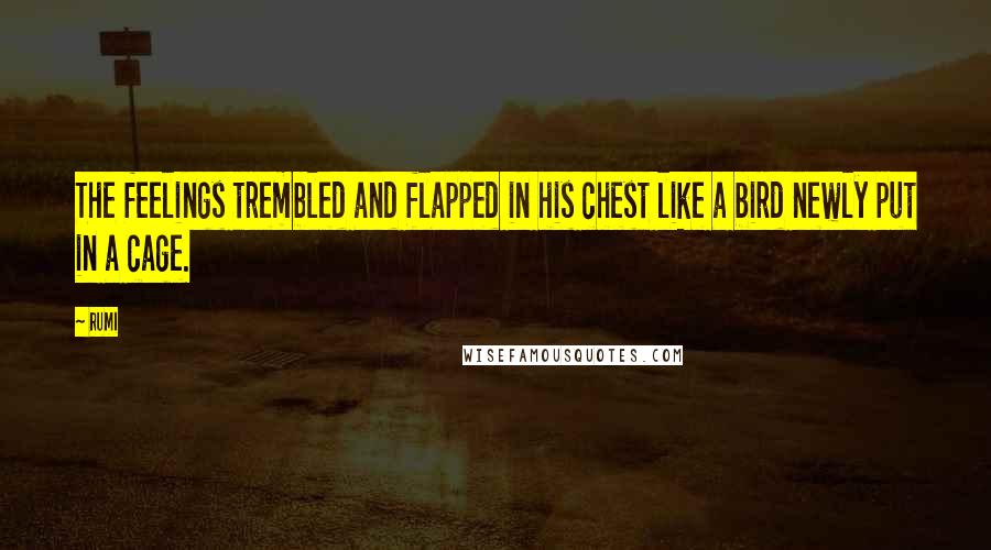 Rumi Quotes: The feelings trembled and flapped in his chest like a bird newly put in a cage.