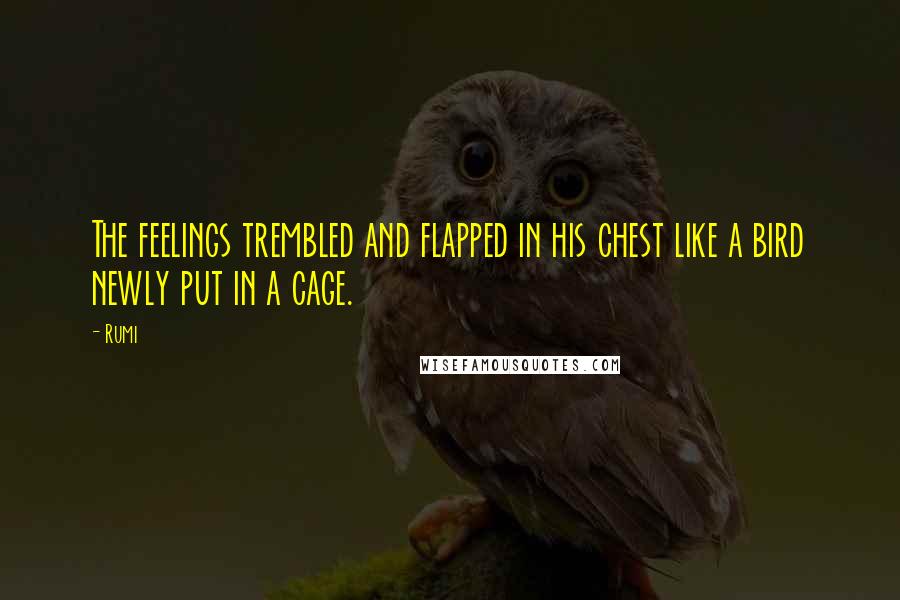 Rumi Quotes: The feelings trembled and flapped in his chest like a bird newly put in a cage.