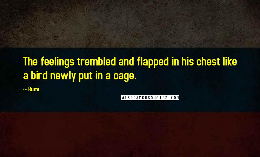 Rumi Quotes: The feelings trembled and flapped in his chest like a bird newly put in a cage.