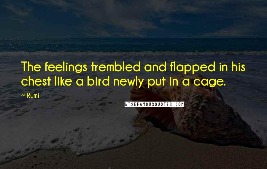 Rumi Quotes: The feelings trembled and flapped in his chest like a bird newly put in a cage.