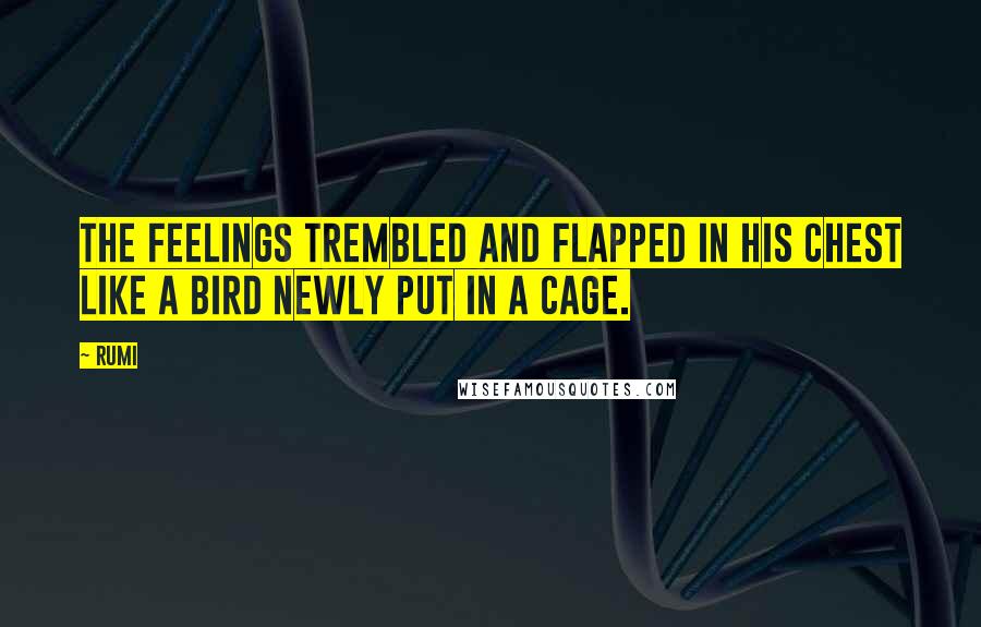 Rumi Quotes: The feelings trembled and flapped in his chest like a bird newly put in a cage.