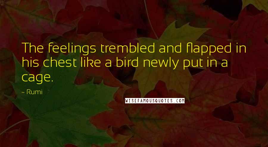 Rumi Quotes: The feelings trembled and flapped in his chest like a bird newly put in a cage.