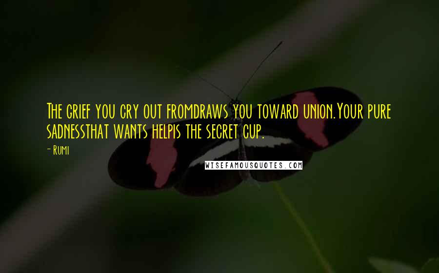 Rumi Quotes: The grief you cry out fromdraws you toward union.Your pure sadnessthat wants helpis the secret cup.