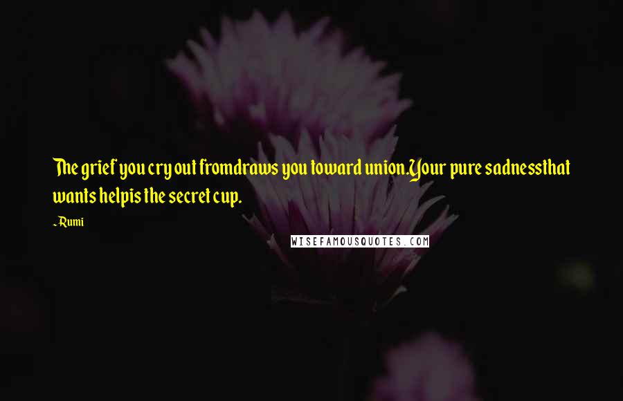 Rumi Quotes: The grief you cry out fromdraws you toward union.Your pure sadnessthat wants helpis the secret cup.