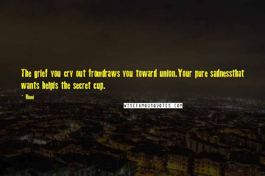 Rumi Quotes: The grief you cry out fromdraws you toward union.Your pure sadnessthat wants helpis the secret cup.