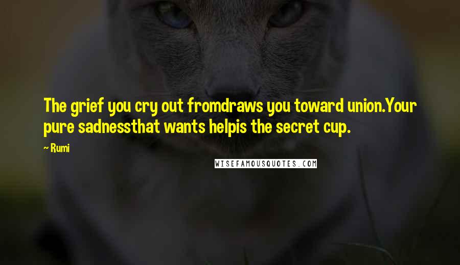 Rumi Quotes: The grief you cry out fromdraws you toward union.Your pure sadnessthat wants helpis the secret cup.