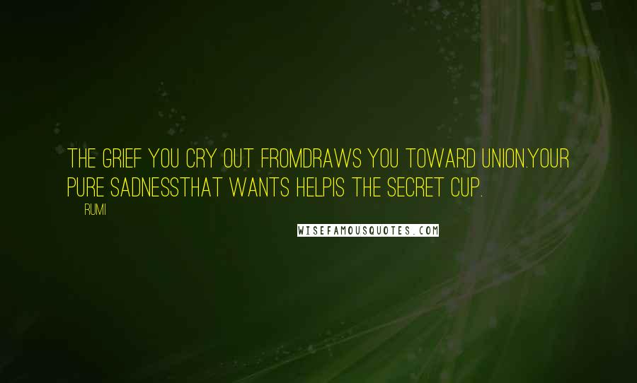 Rumi Quotes: The grief you cry out fromdraws you toward union.Your pure sadnessthat wants helpis the secret cup.