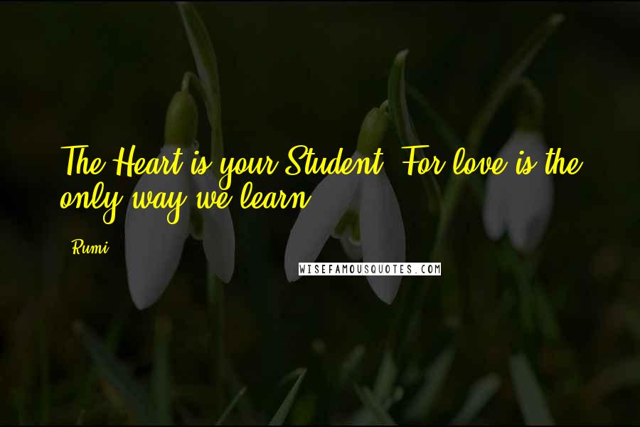 Rumi Quotes: The Heart is your Student, For love is the only way we learn.