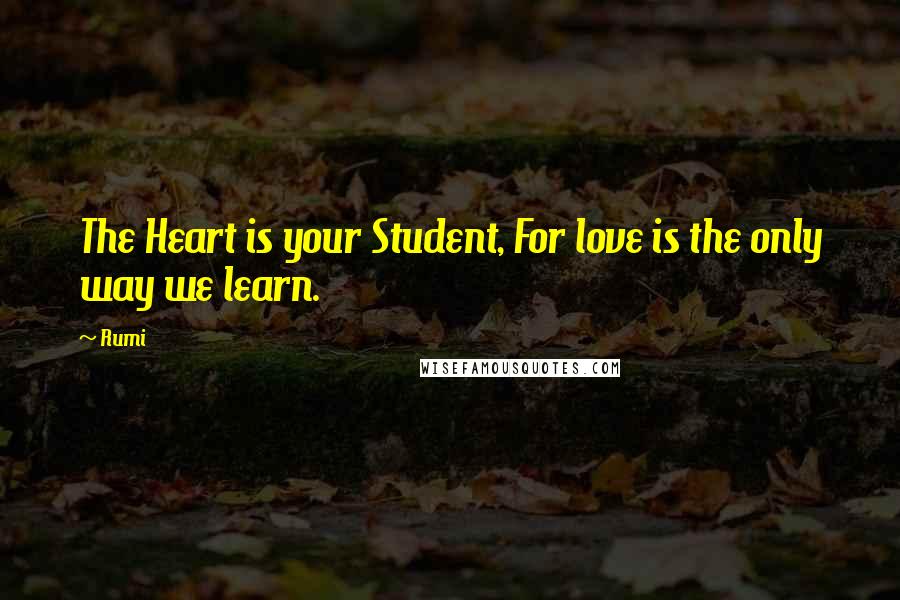 Rumi Quotes: The Heart is your Student, For love is the only way we learn.