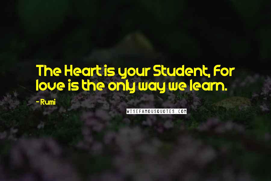 Rumi Quotes: The Heart is your Student, For love is the only way we learn.