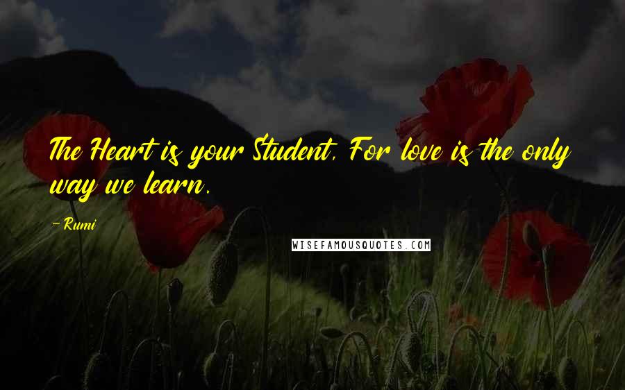 Rumi Quotes: The Heart is your Student, For love is the only way we learn.