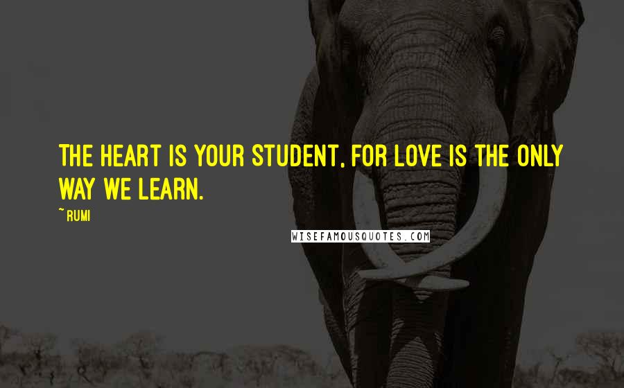 Rumi Quotes: The Heart is your Student, For love is the only way we learn.