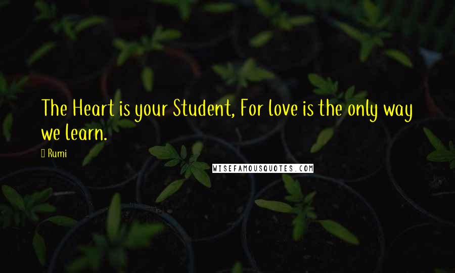 Rumi Quotes: The Heart is your Student, For love is the only way we learn.