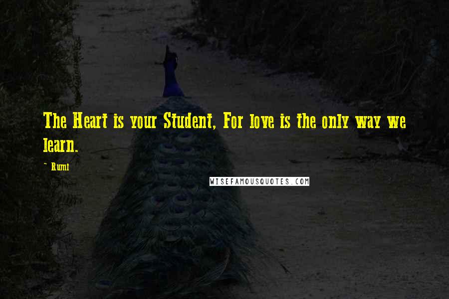 Rumi Quotes: The Heart is your Student, For love is the only way we learn.