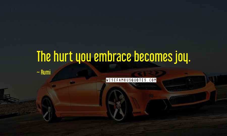 Rumi Quotes: The hurt you embrace becomes joy.