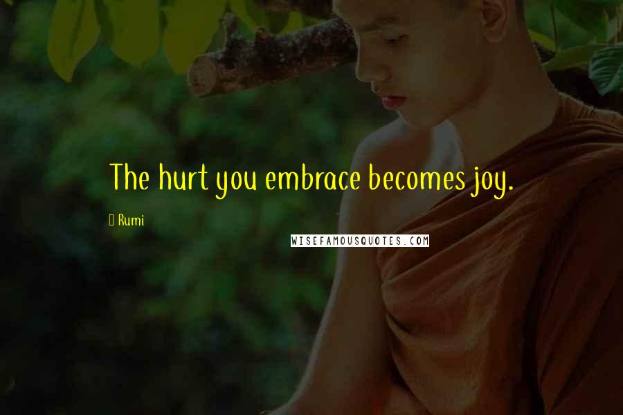 Rumi Quotes: The hurt you embrace becomes joy.