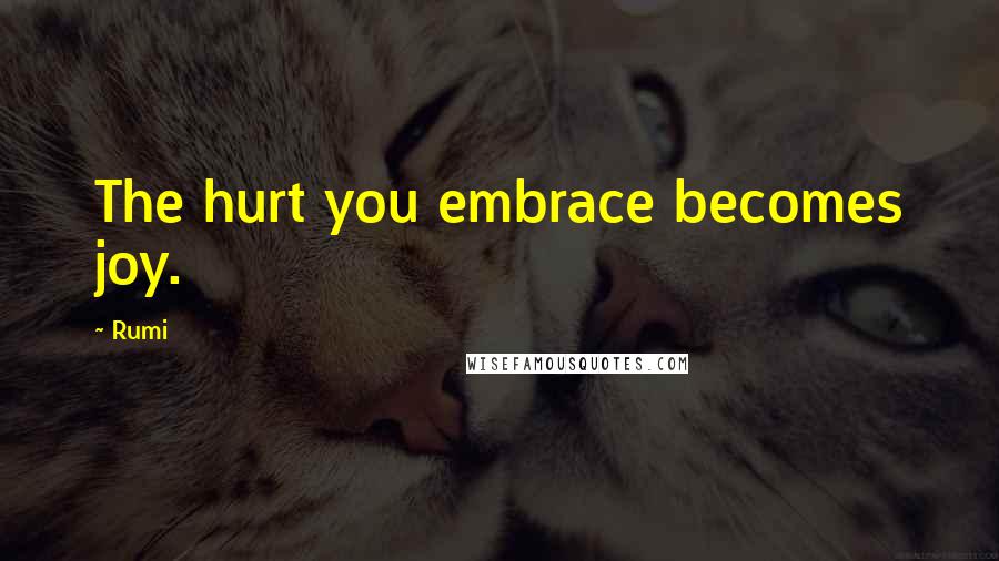 Rumi Quotes: The hurt you embrace becomes joy.